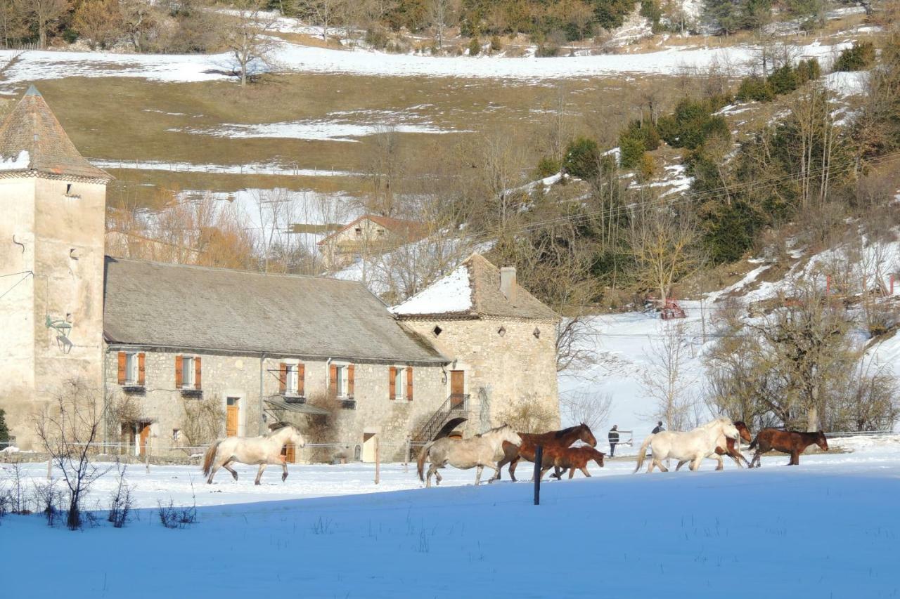 Le Colombier Bed and Breakfast Glandage Exteriör bild